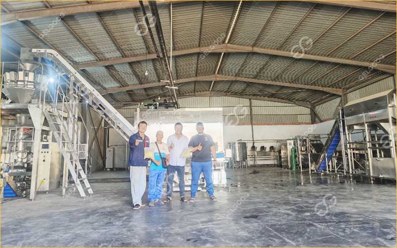 Ligne De Production De Frites Surgelées En Algérie