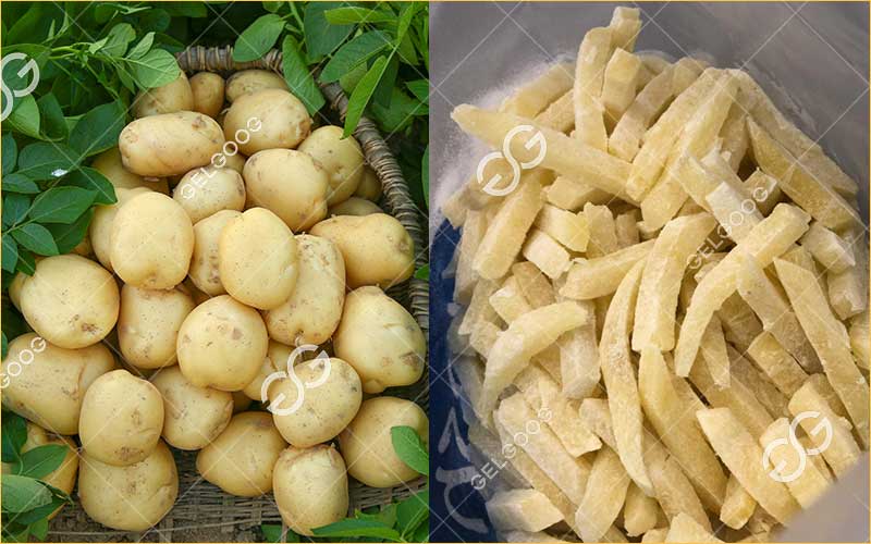 Comment Fabriquer Des Frites Surgelées À Partir De Pommes De Terre Fraîches
